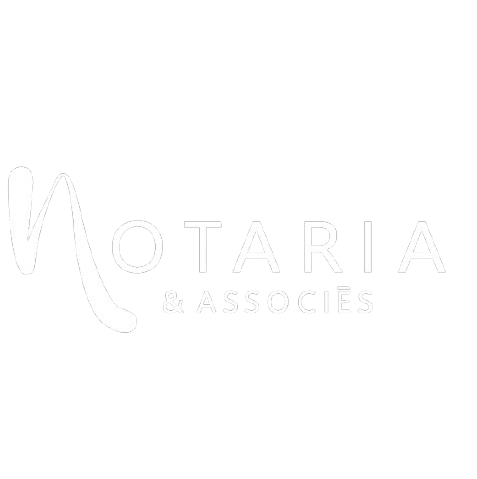 LOGOS_VECTO_Plan_de_travail_1_copie_40-removebg-preview