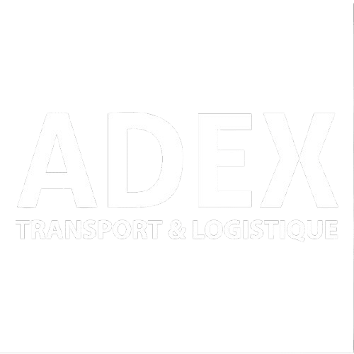 LOGOS_VECTO_Plan_de_travail_1_copie_45-removebg-preview